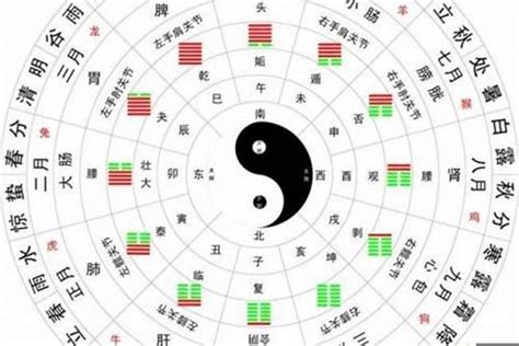 八字十天干